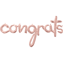6ft Backdrop With Balloon Garland & phrase balloon