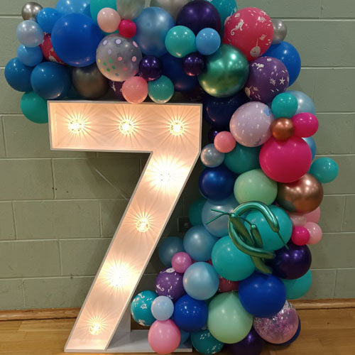 4ft Single Light Up Number - Options available