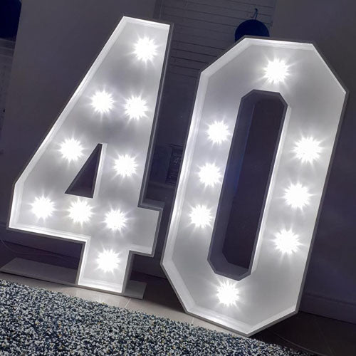 Any Two Large 4ft Light Up Numbers