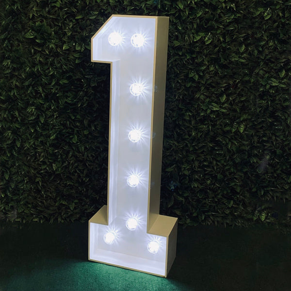 4ft Single Light Up Number - Options available