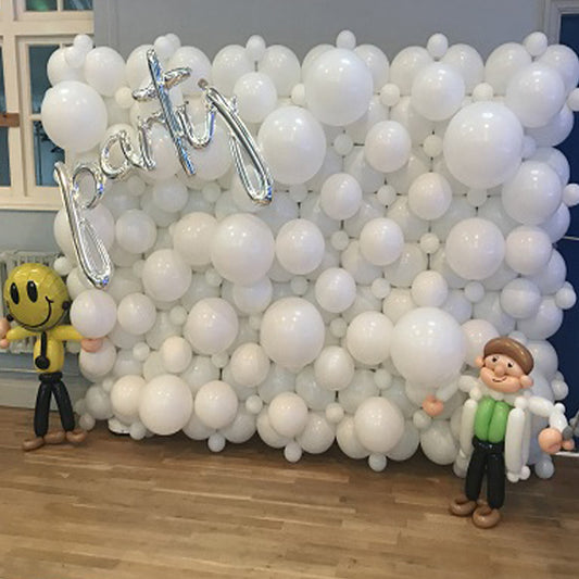 6ft x 5ft One Colour Organic Balloon Wall Backdrop