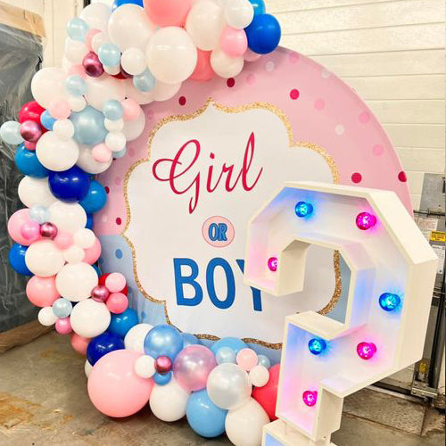 6ft Gender Reveal Backdrop With Balloon Garland & Question Mark Light Up